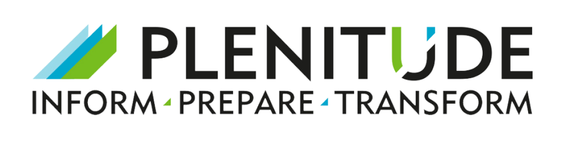 Plenitude Consulting